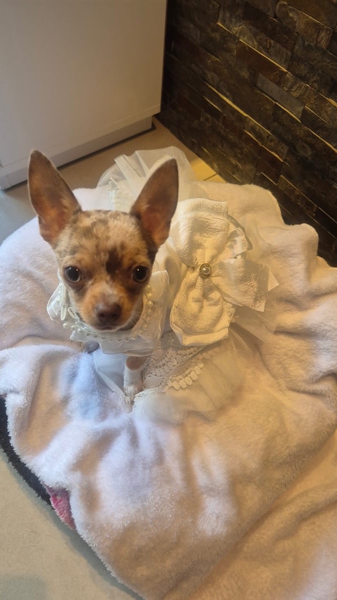 Mika con vestido blanco con perlas